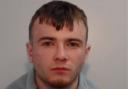Fred Grey, 25, is wanted on recall to prison