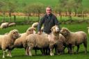 Dorothy the Sheep with Stuart Alderson at his farm in Ainsworth, Dorothy survived a dog attack a few years back. She recently died of old age