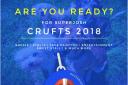 SuperJosh Crufts 2018 poster