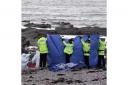 Police officers on beach where woman's severed head was found
