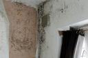 Wallpaper peeling off damp walls at the house in Chorley Old Road