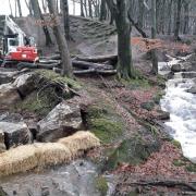 WORK: Natural flood management at Stubbins Estate