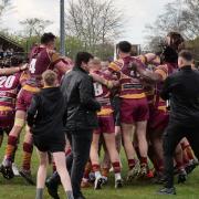 PROMOTION PARTY: Sedgley Tigers celebrate clinching top spot. Picture by Glenn Hutton