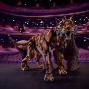 The amazing tiger puppet Richard Parker on stage at The Lowry (Picture: Nathan Chandler)