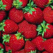 Strawberry recipies