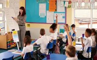 Primary school places figures have been released