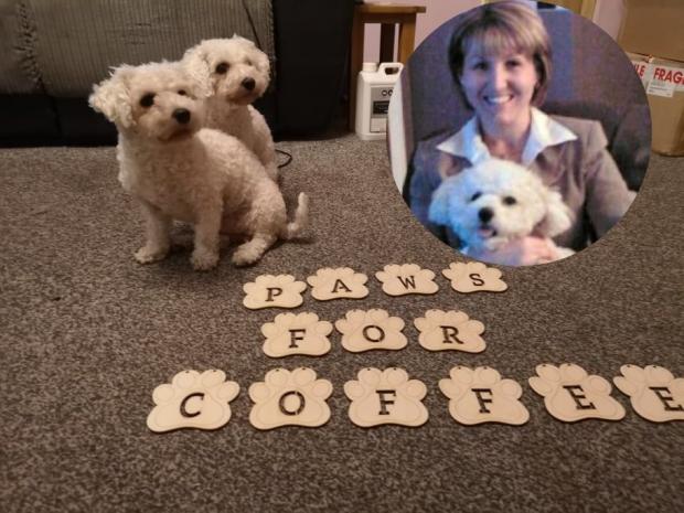 Bury Times: Karen Phillips owner of Paws for Coffee pet cafe in Tottington, Bury, with her dogs, including Buster (inset) 