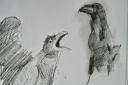 A Ravens illustration by Keiron, a project participant