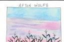 CD reviews : Afton Wolfe, Gordon Lightfoot, Stray