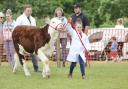 All creatures great and small flock to Bury Agricultural Show