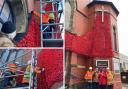 Poppy waterfalled displayed for Remembrance Sunday
