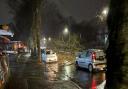 A tree blown over on Gilnow Road yesterday  (Image: Public)