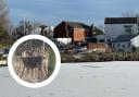 Elton Reservoir completely frozen after temperature plunge