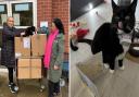 Gizmo put smiles on patients' faces at the hospital again