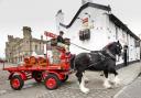 Thwaites' iconic shire horses visited the Two Tubs pub, in Bury#.