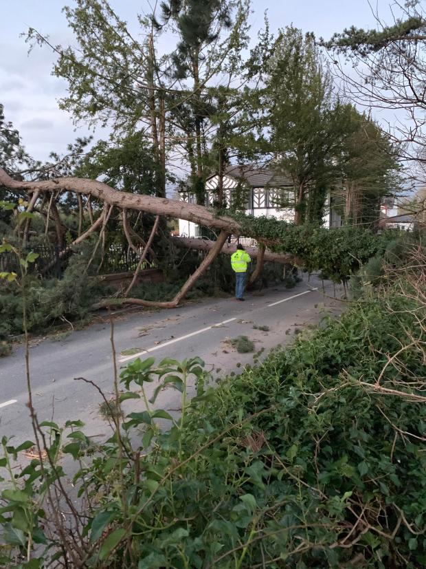 Bury Times: Aftermath of Storm Arwen in Cheshire (PA)