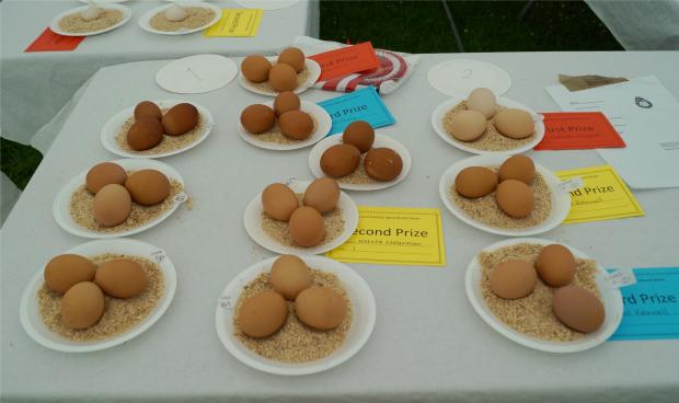 Bury Times: A competition to just the best eggs 