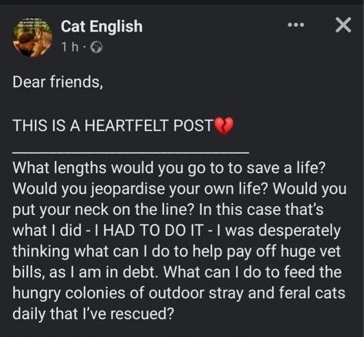 Bury Times: Screenshot of Cat's Facebook post shared on Tuesday June, 14