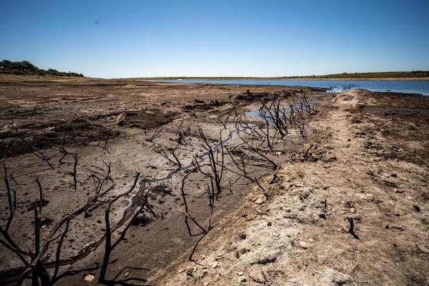 Dried mud and old trees at Colliford Lake, where water levels have severely dropped, exposing the unseen trees and rocks at Cornwall’s largest lake and reservoir, covering more than 900 acres of Bodmin Moor