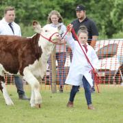 All creatures great and small flock to Bury Agricultural Show