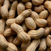 NHS England has secured a treatment to peanut allergies called Palforzia (Canva)