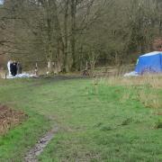 Police tent at Chesham Woods