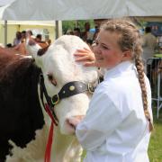 Bury Agricultural Show (Photo: Danny Crompton)