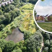 The site at Blackley Mere is up for auction for £1.5m