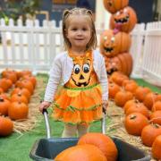The pumpkin patch at Mill Gate Shopping Centre