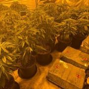 Part of the cannabis farm on Hampshire Close in Bury