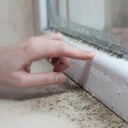 Lots of condensation can lead to dampness which can cause mould growth on blinds, walls and ceilings