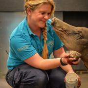 Apprentices are being sought to work at Chester Zoo.