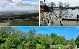 Pictures taken at Rivington Pike (top left), Burrs Country Park (bottom) and Alexandra Park (top right). Credit: Tripadvisor/Canva