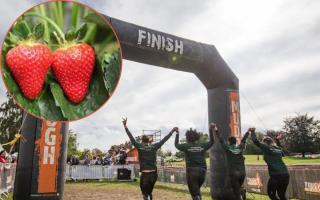 Tough Mudder partners with British Berry Growers
